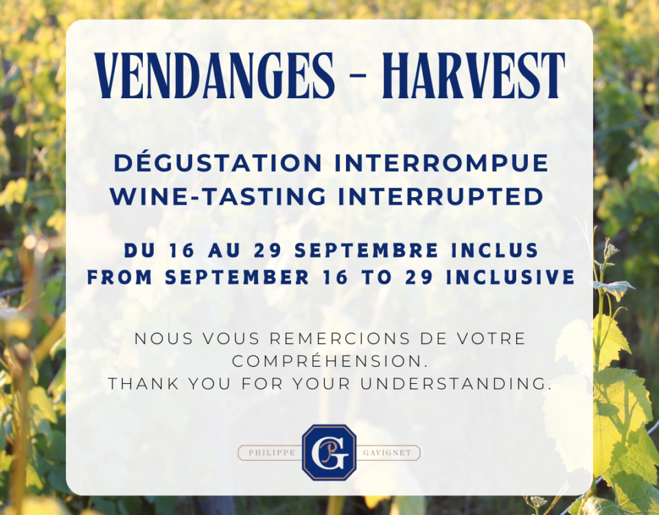 dégustation interrompue pendant les vendanges